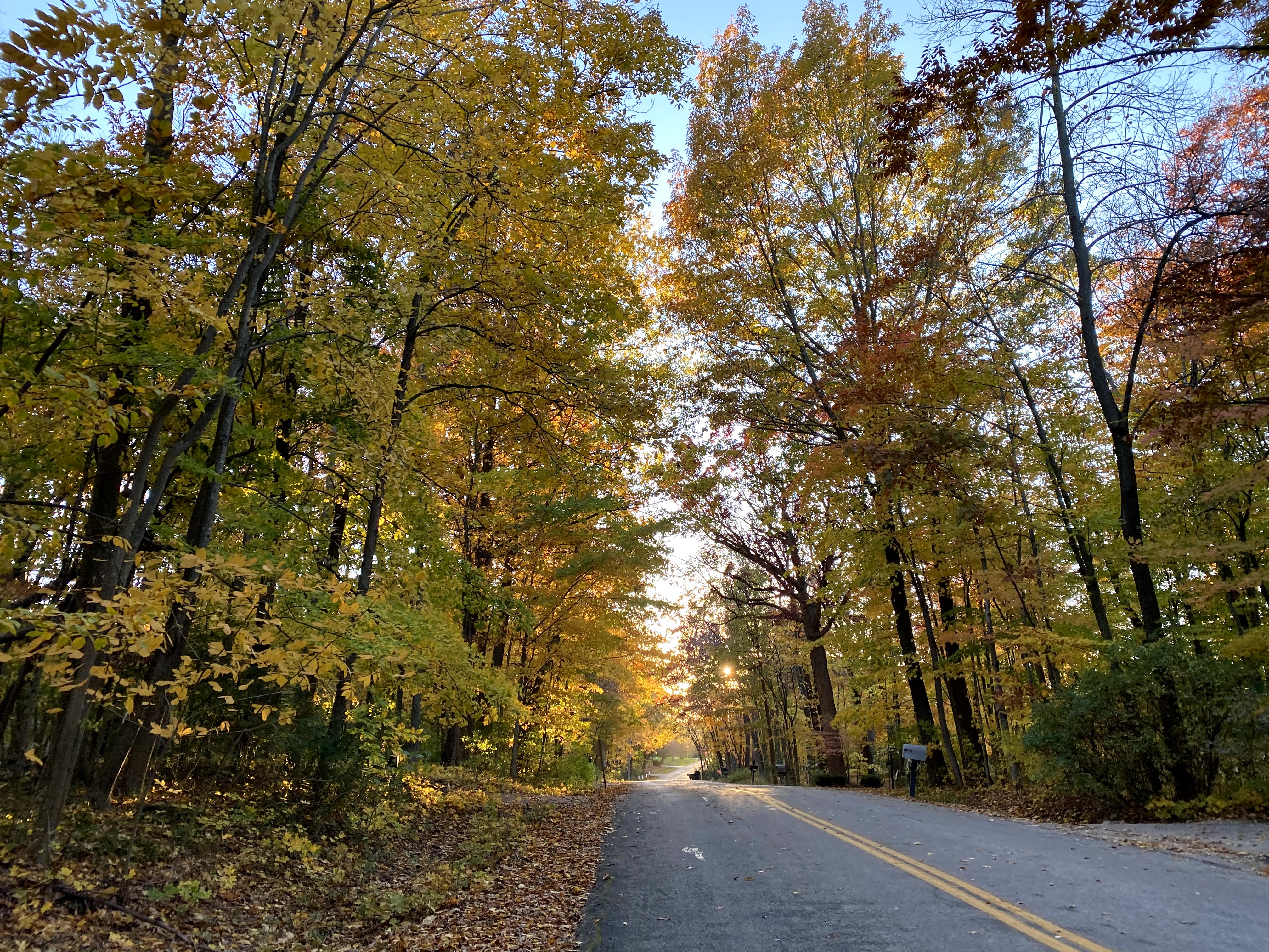 The 8 Best Spots in Wisconsin to View Peak Fall Colors